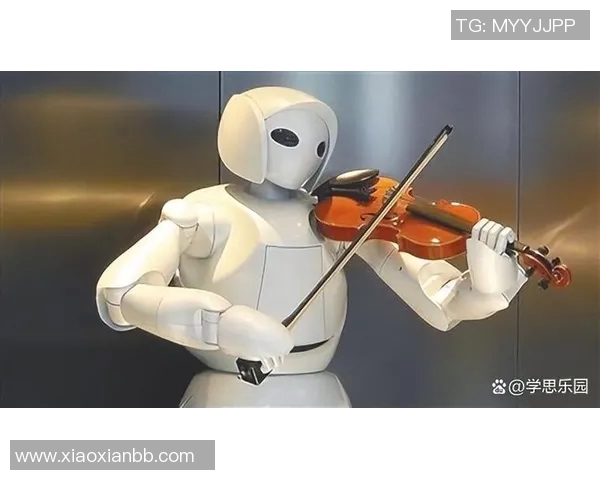 米卡尔布里奇斯的崛起之路与未来发展潜力分析